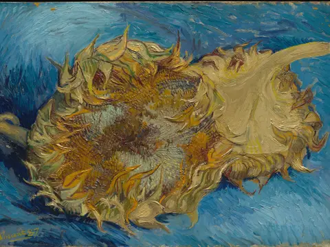 Golden Sunflowers jigsaw puzzle